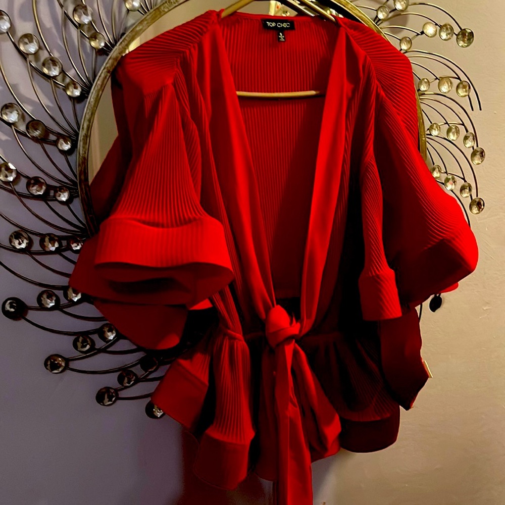 Holidays blouse!!! ♥️